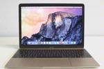 Macbook - USED Good Gold Apple MacBook 12" A1534 Early 2015 1.1 GHz Core M (M-5Y31) HD Graphics 5300 8GB RAM 256GB Flash Storage MF855LL/A* Laptop