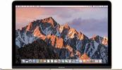 Macbook - USED Very Good Gold Apple MacBook 12" A1534 Early 2015 1.2 GHz Core M (M-5Y51) HD 5300 8GB RAM 512GB Flash Storage MF865LL/A* Laptop